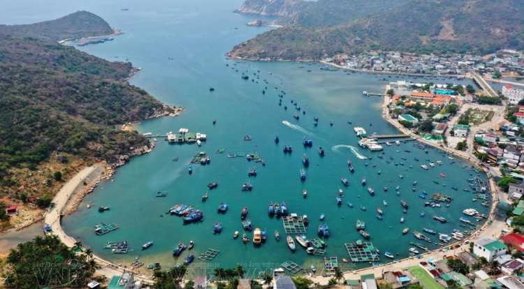  Tour du lịch Vĩnh Hy 3N2Đ từ TP.HCM